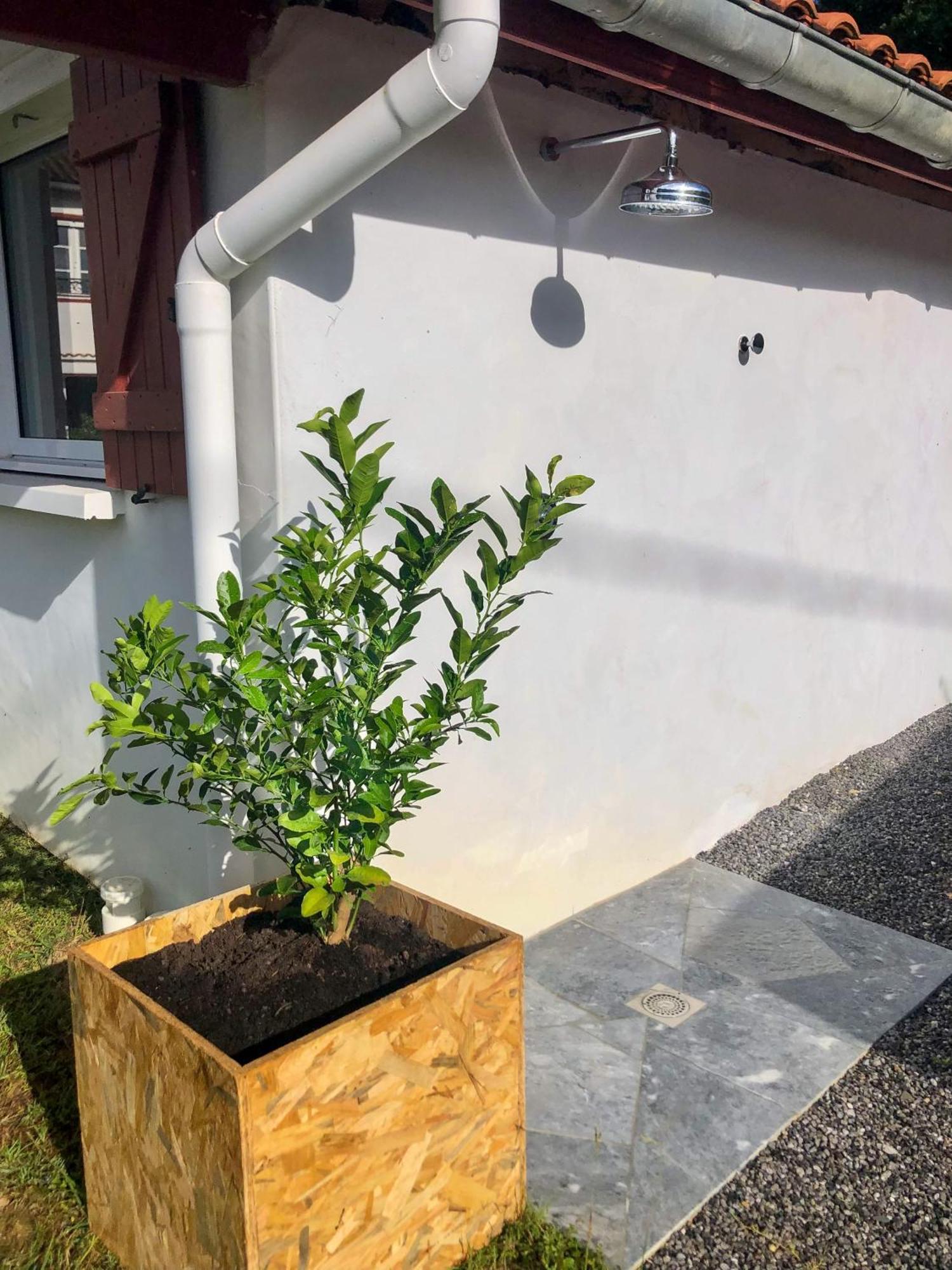 L'Adret Du Bois Otel Sames Dış mekan fotoğraf